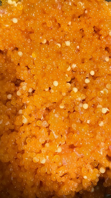 Форель Ирпень - изображение 4