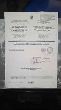 Икра стерляди 100грам 