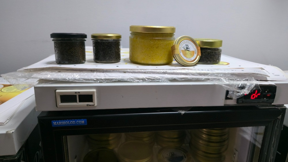 Икра стерляди 100грам Ірпінь - photo 7